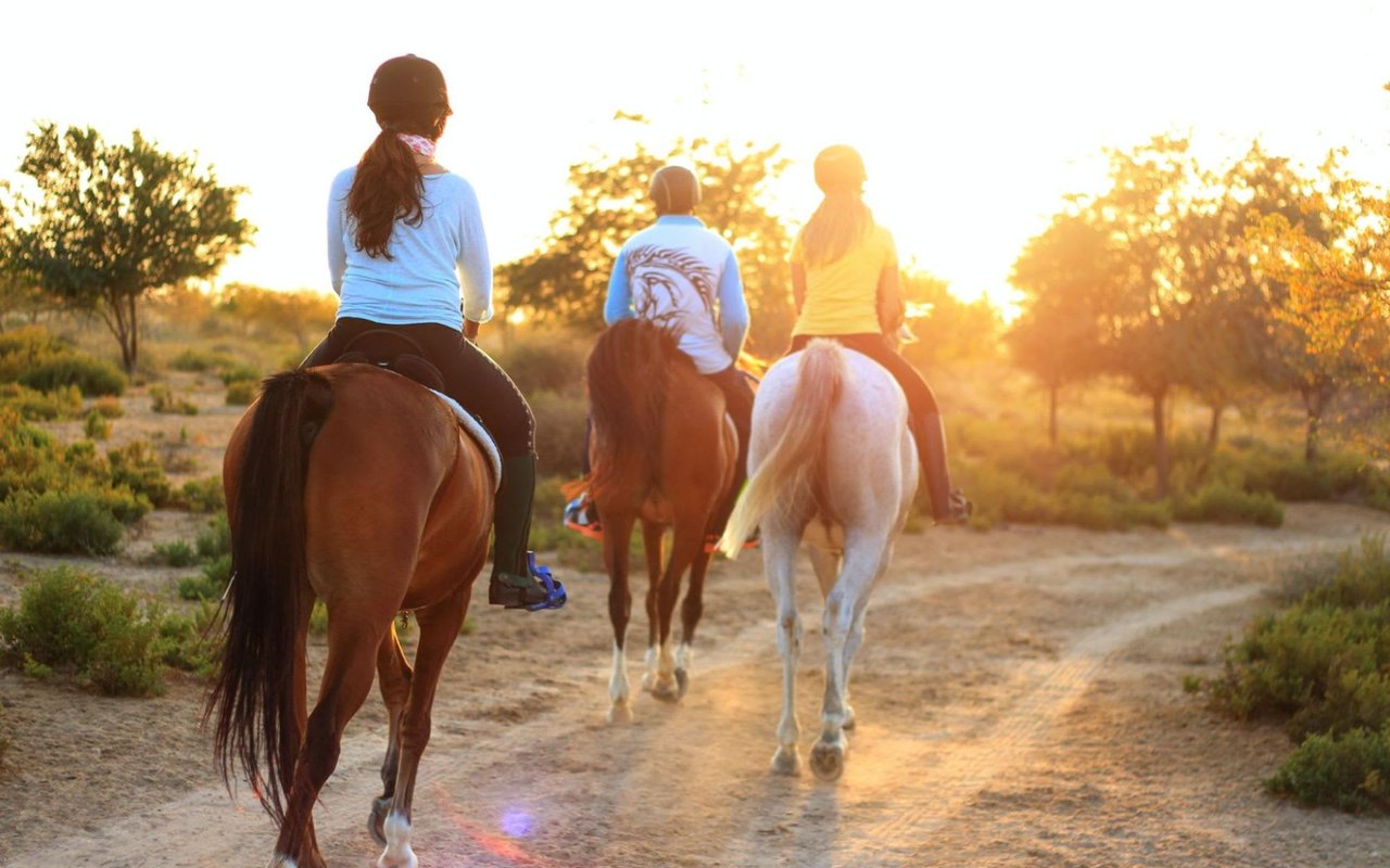 5 Things to Do in Your First Week in Hill Country, Texas