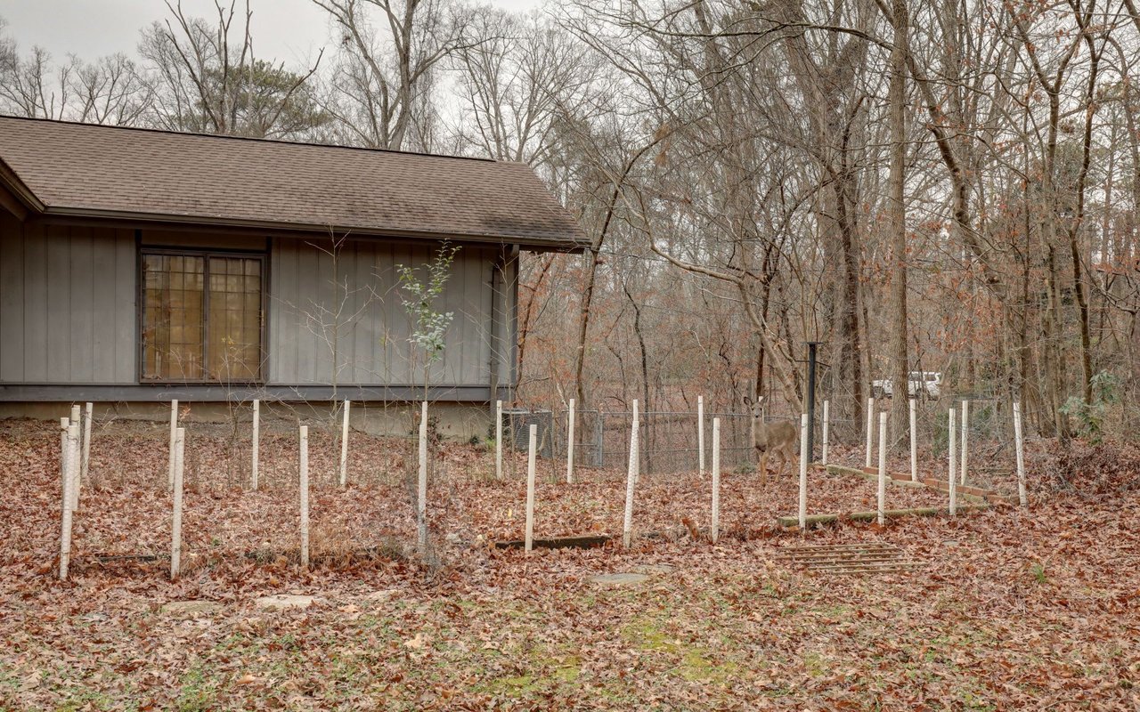 1165 W Garmon Road