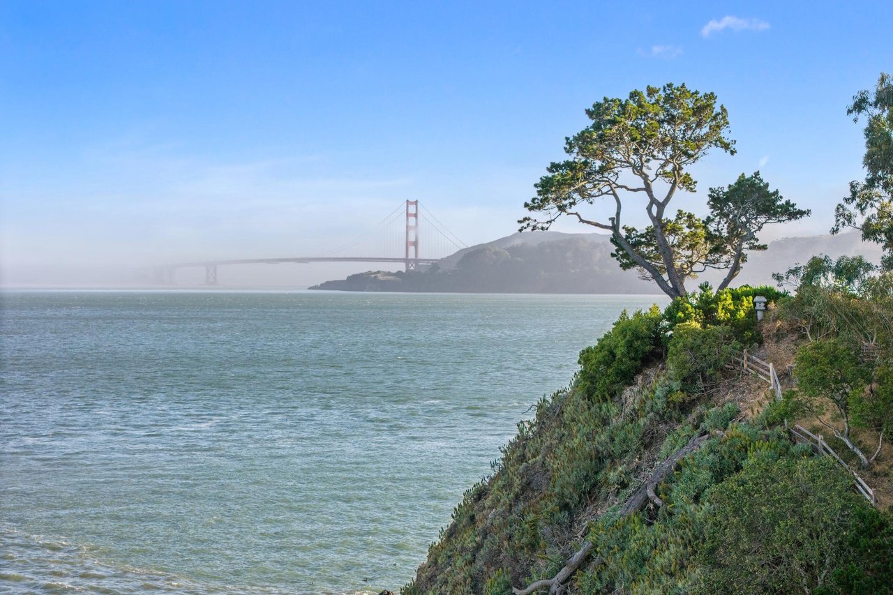 The August 2024 Update