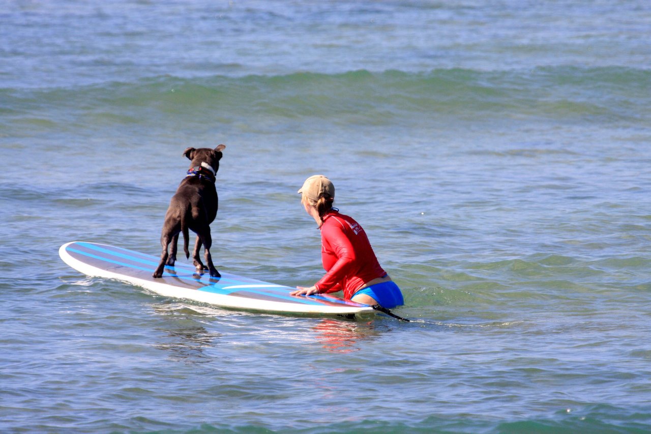 Come Hang Loose with JB and The Maui Beach Boys in Kihei