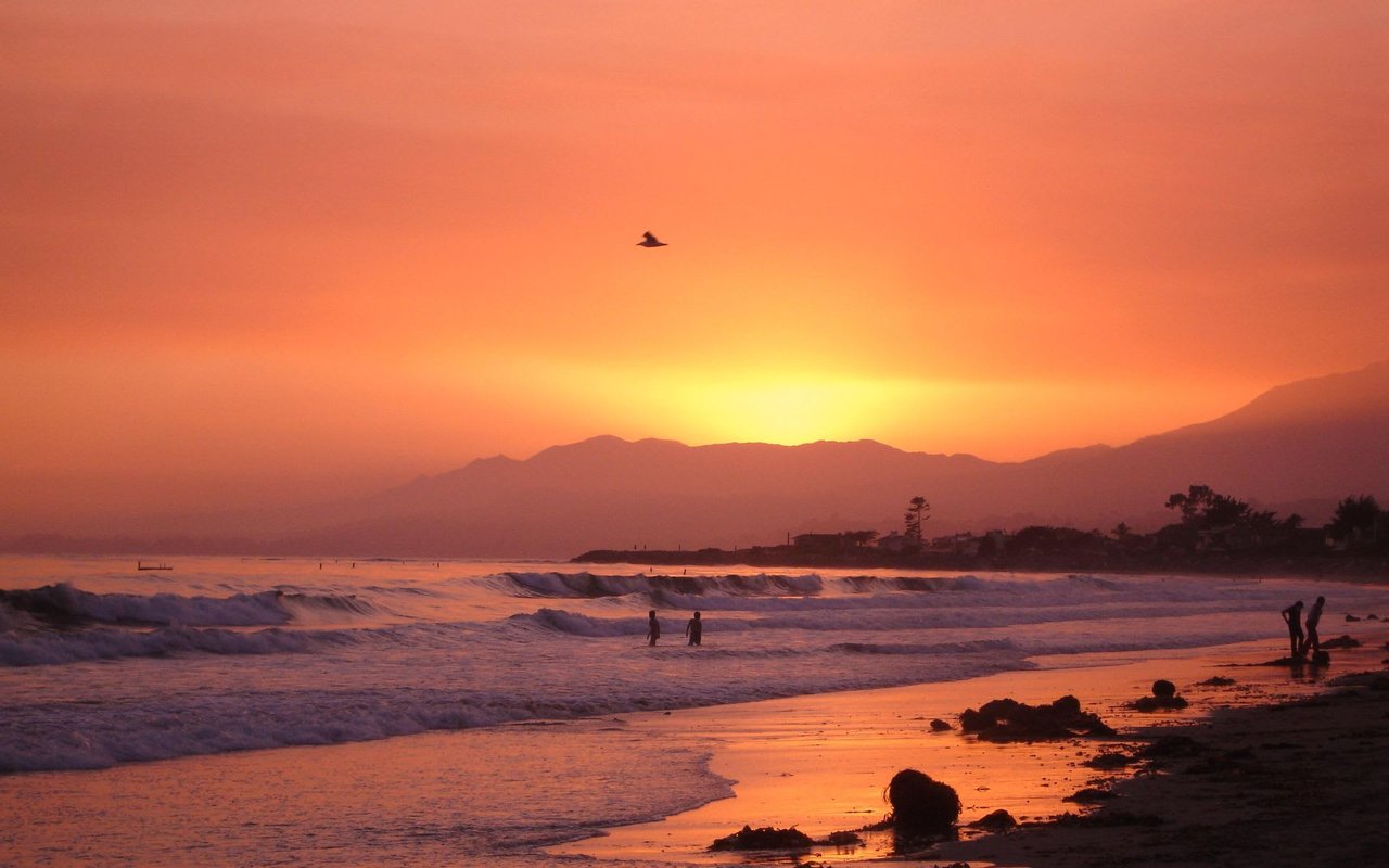 Carpinteria