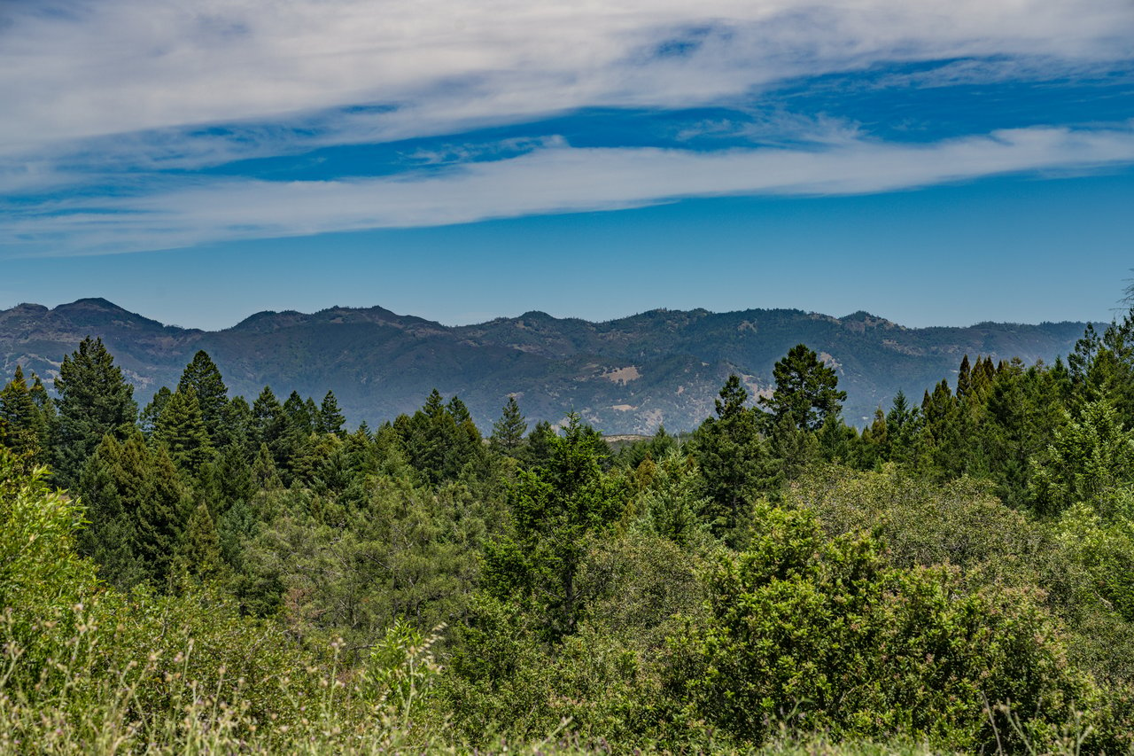 Sharp Road, Calistoga