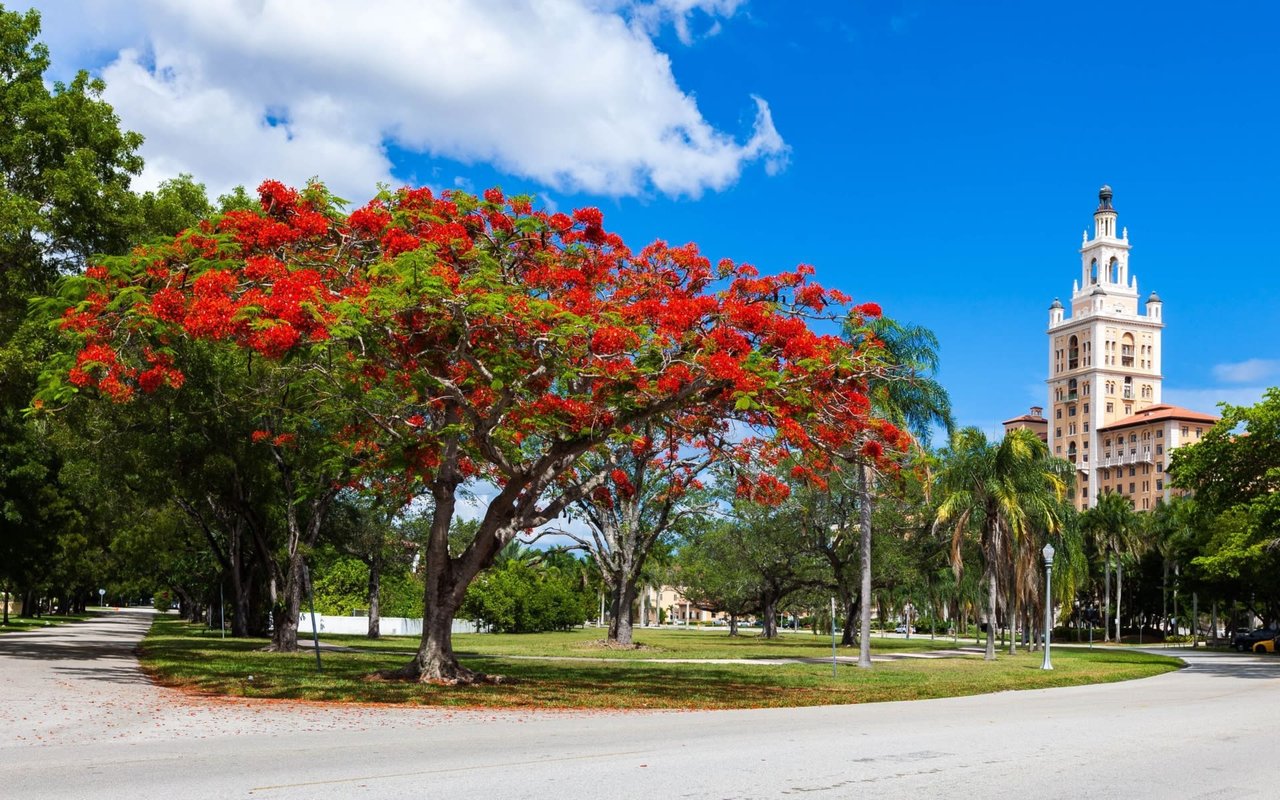 Weston Hills-Poinciana