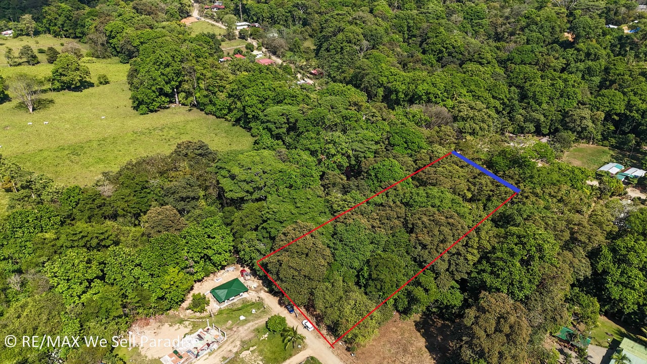 A large jungle-clad piece of land with mountain views, internal creek, and river frontage.