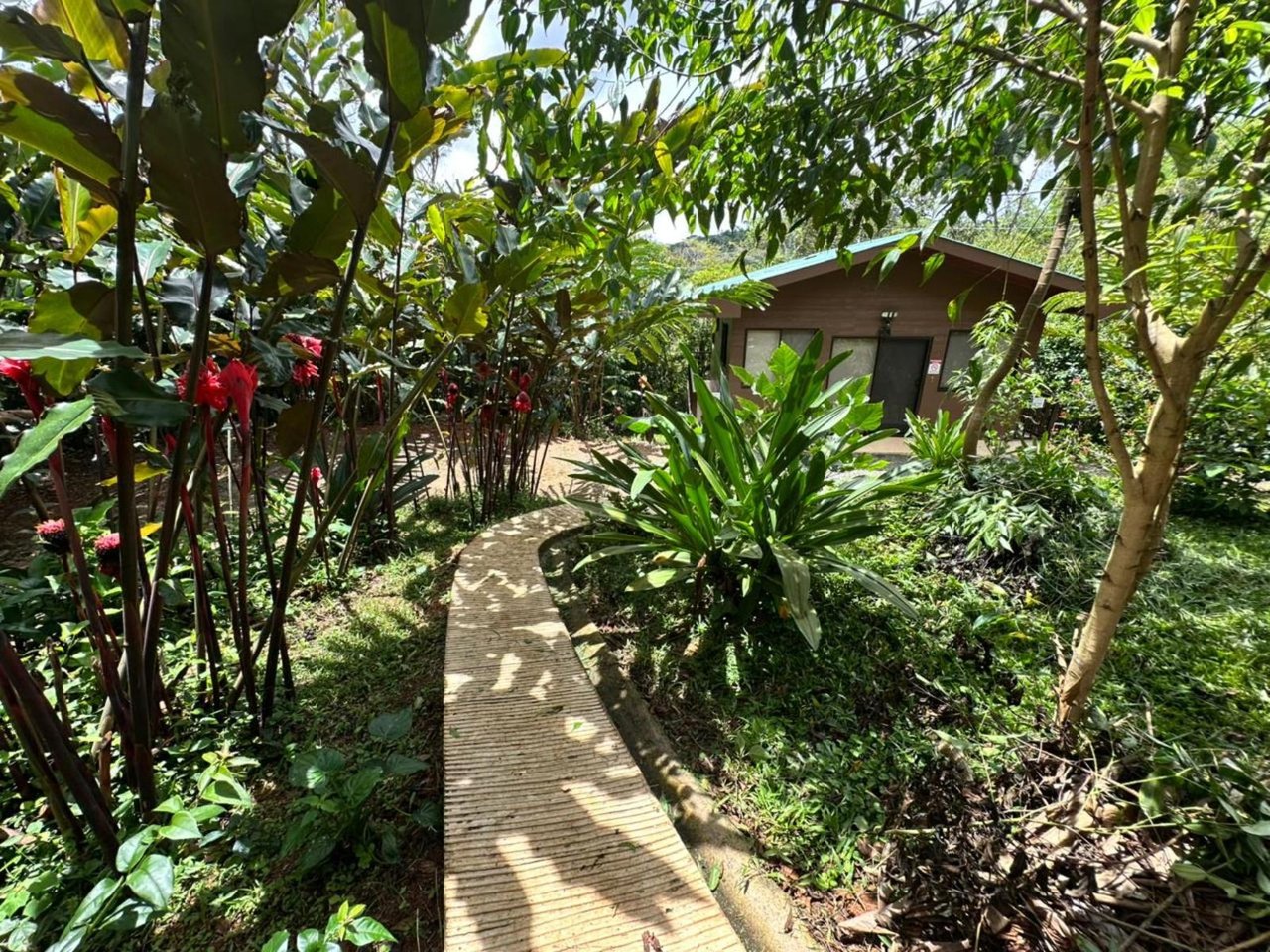 Waterfall Eco Hotel Estate, Perez Zeledon, San Jose