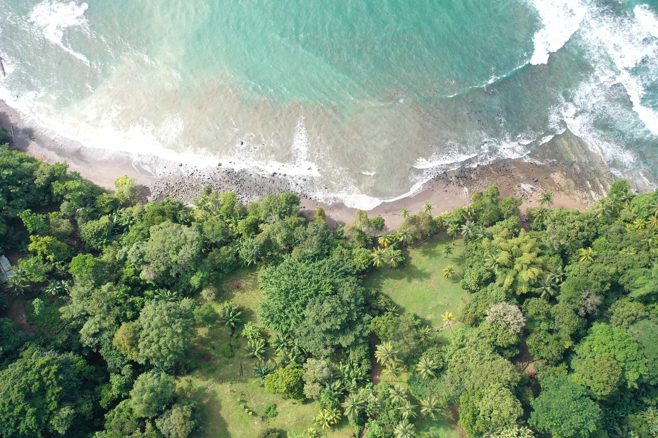 Beachfront Estate Property San Martin 