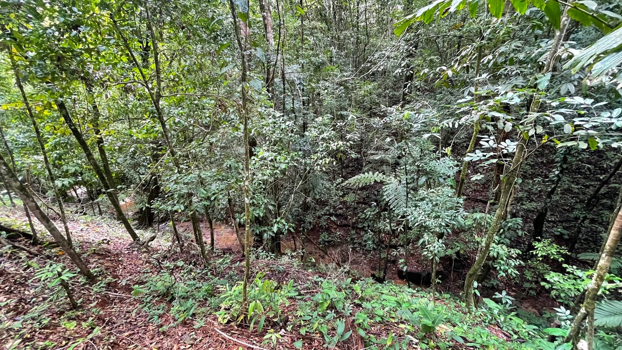 Half Acre Lot in Platanillo, Minutes to the beach of Dominical