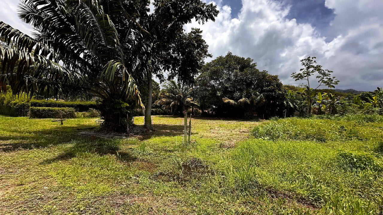 Beach Area Lot in Quiet Corner on Uvita Bahia