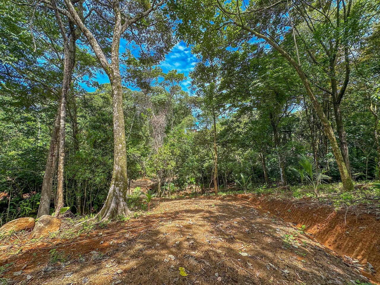 A jungle – and – creek border 1. 6 acre lot in a secure gated community, prepared and ready for your dream home!. 