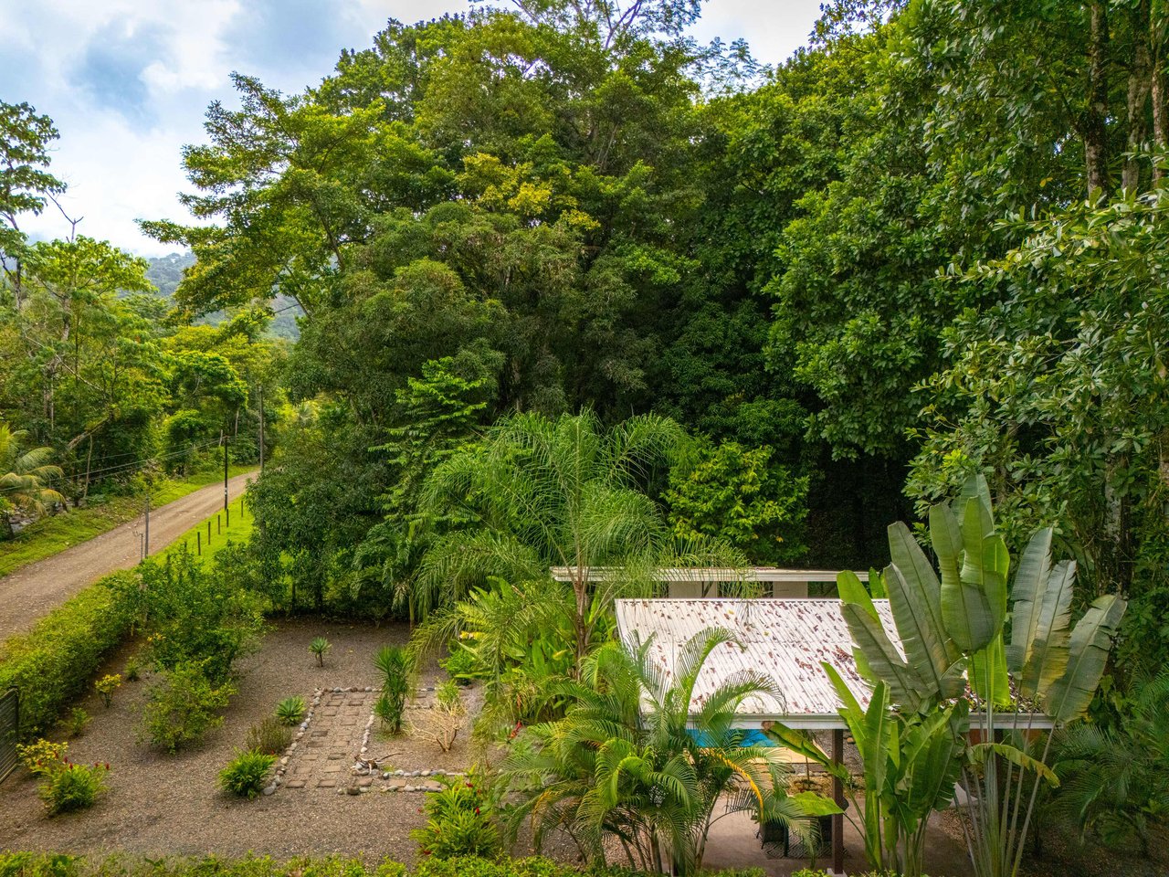 Coastal Canopy Retreat