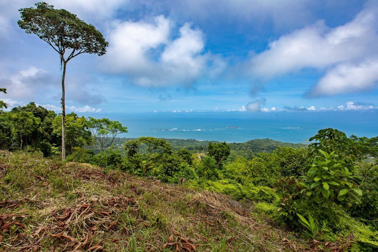 Rare Opportunity: Pristine 16-Acre Oceanview Sanctuary for Exclusive Development in Uvita