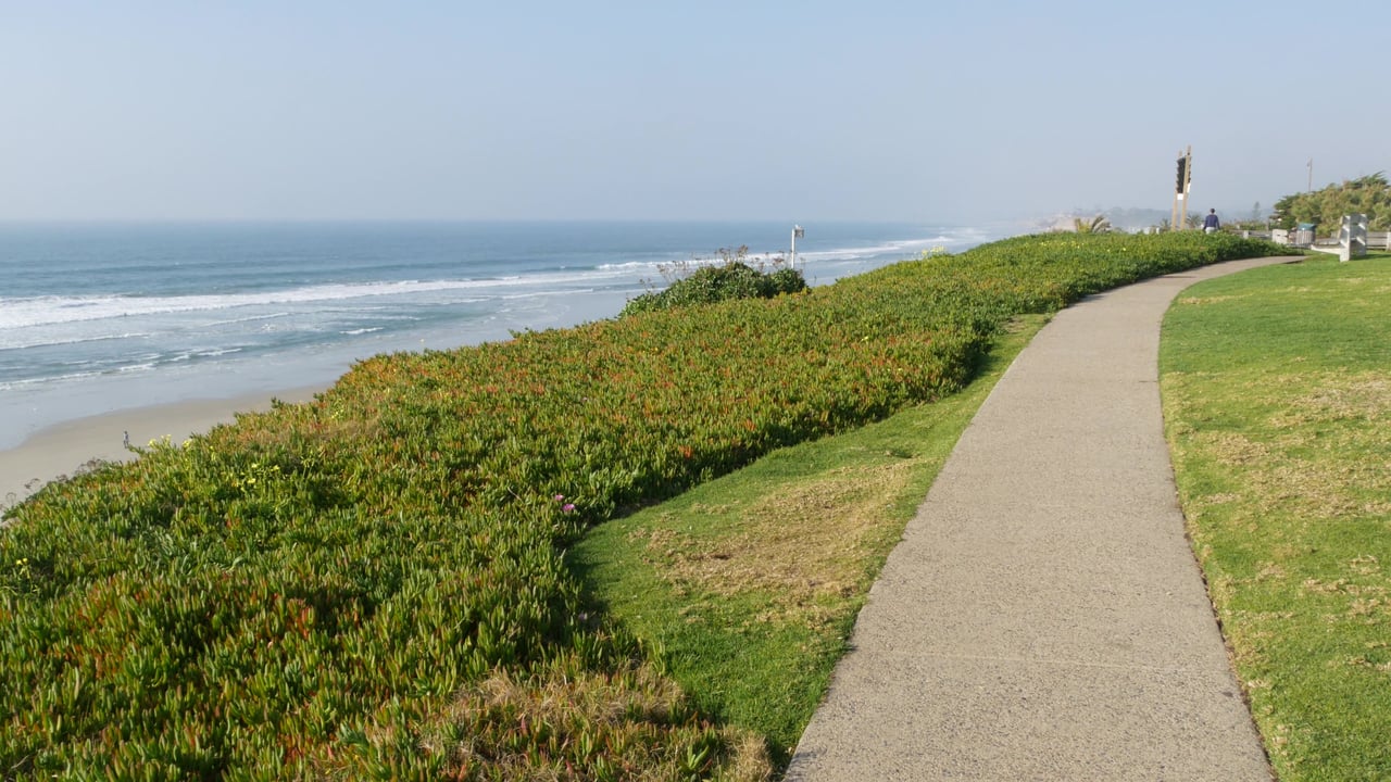 Del Mar Market Report 2024