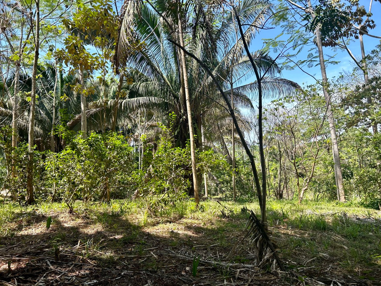 Great Location Land Parcel in Playa Hermosa