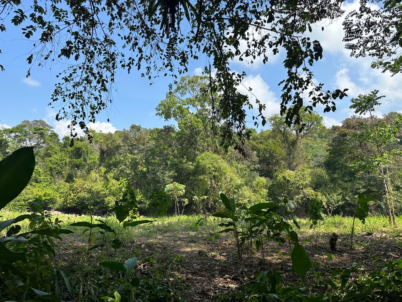 INVESTMENT OPPORTUNITY IN PLATANILLO – YOUR FIXER-UPPER DREAM WALKING DISTANCE TO NAUYACA WATERFALL