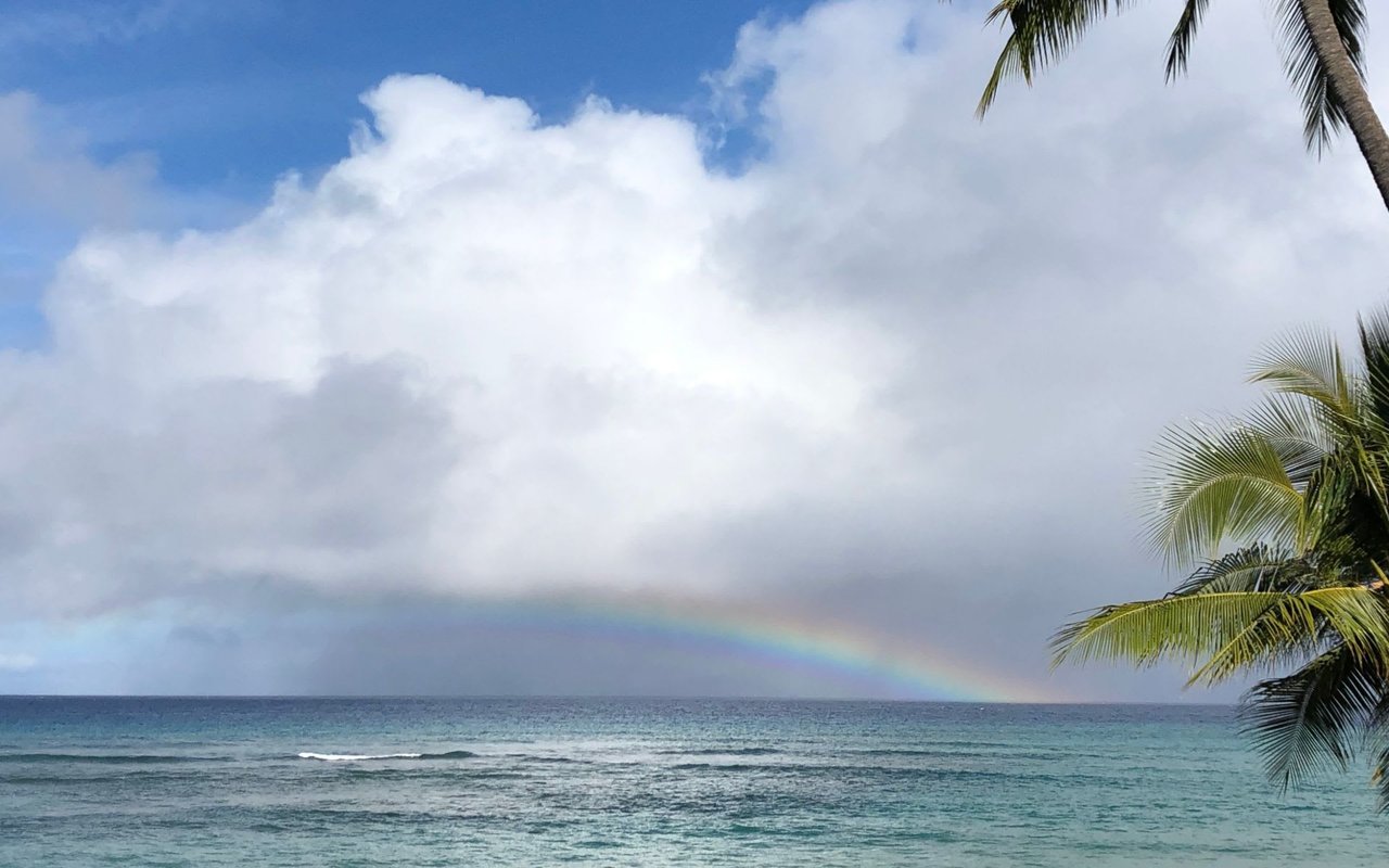 No Signs of Slowdown in West Maui: March & Q1 2019 Sales