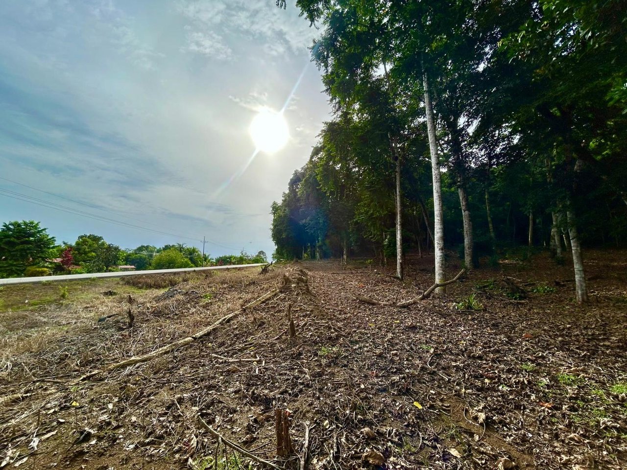 Flat Commercial Development Lot, Osa, Puntarenas