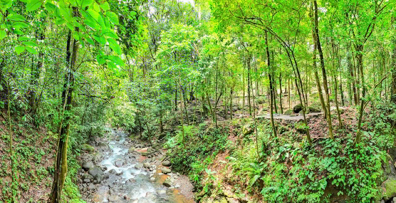 Welcome to your dream property in the heart of Cinco Ventanas, Costa Rica.