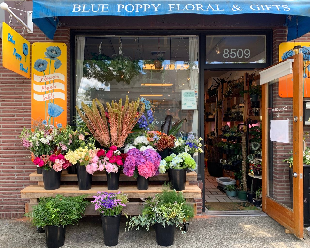 Feature Friday - Blue Poppy Floral & Gifts