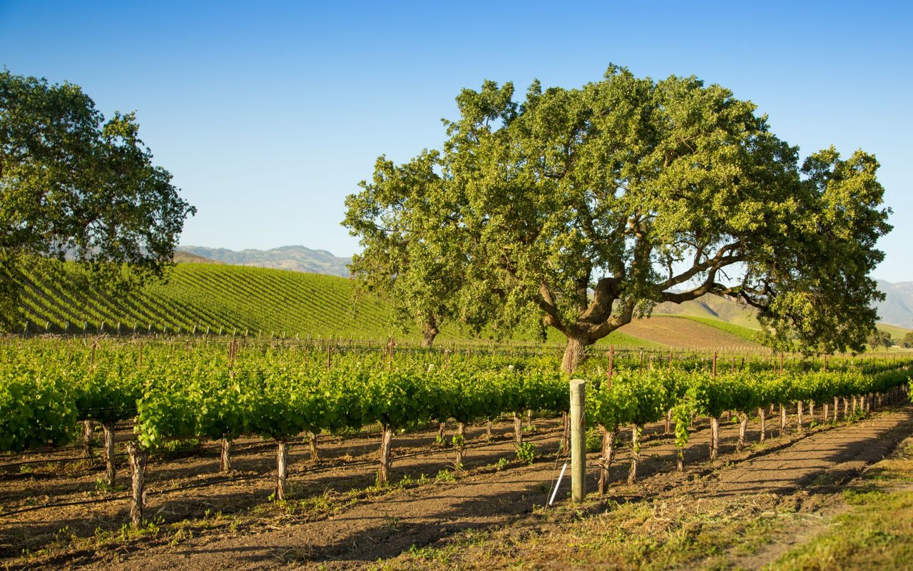 Santa Ynez Valley