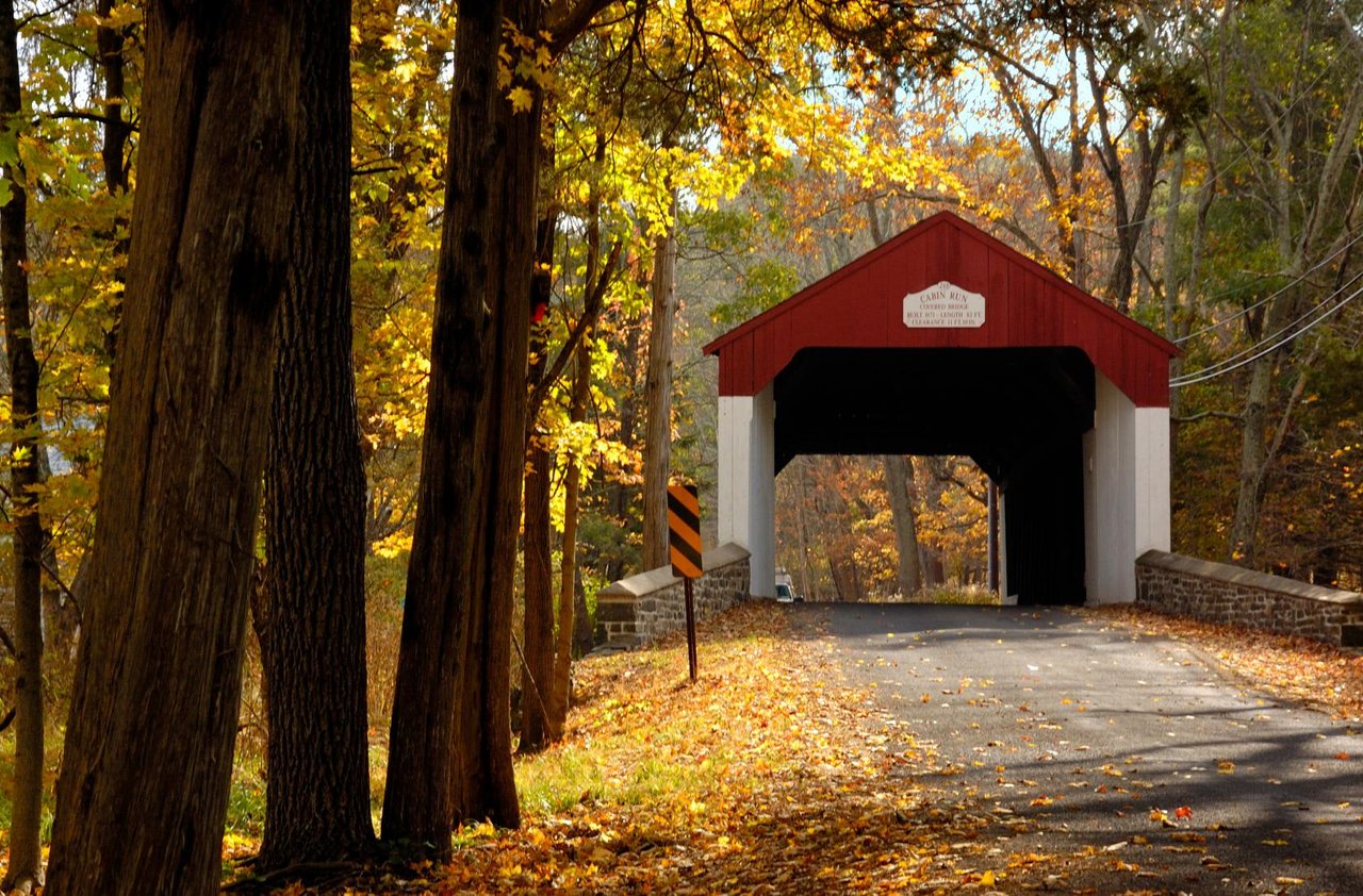 Welcoming Spring in Bucks County and Philadelphia: A Season of Renewal and Charm