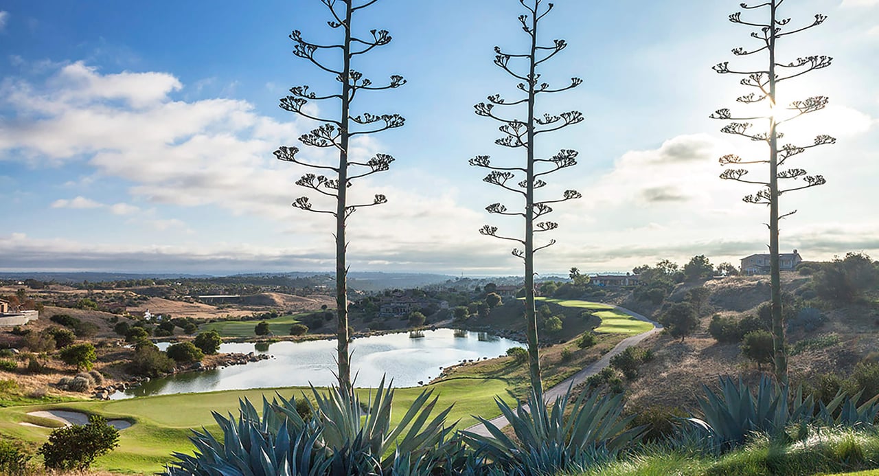 Santa Luz