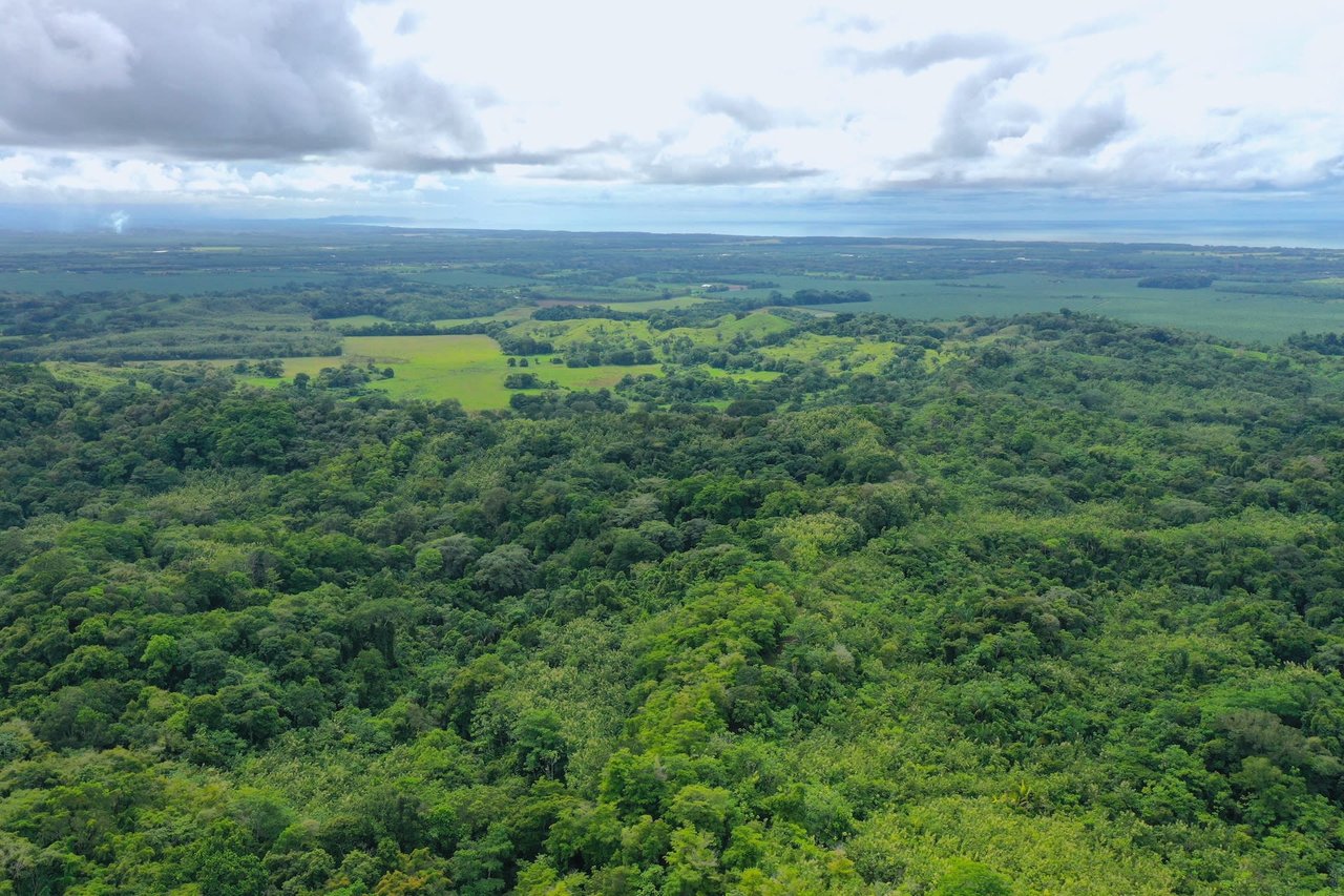 Costa Rican Teak and Hardwood Farm with Endless Potential