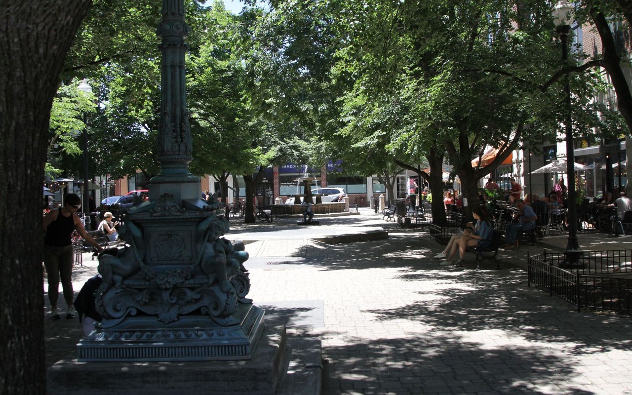 Lincoln Park / Old Town