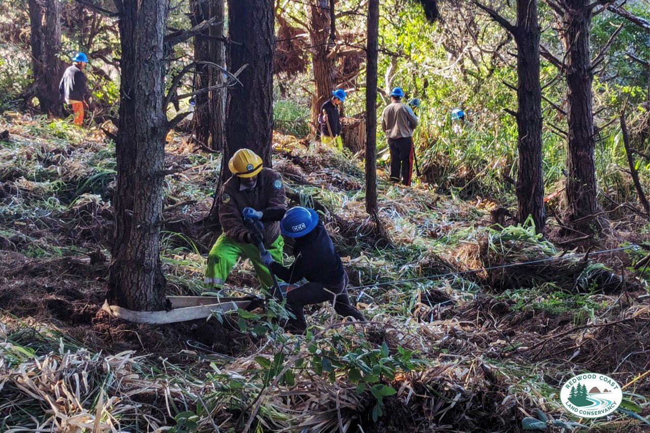 Redwood Coast Land Conservancy