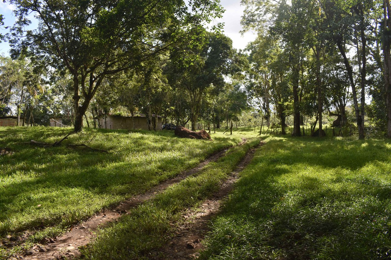 Rancho San Miguel | Enchanting Paradise; Your Ultimate Investment Opportunity in Buenavista de Guatuso, Katira!