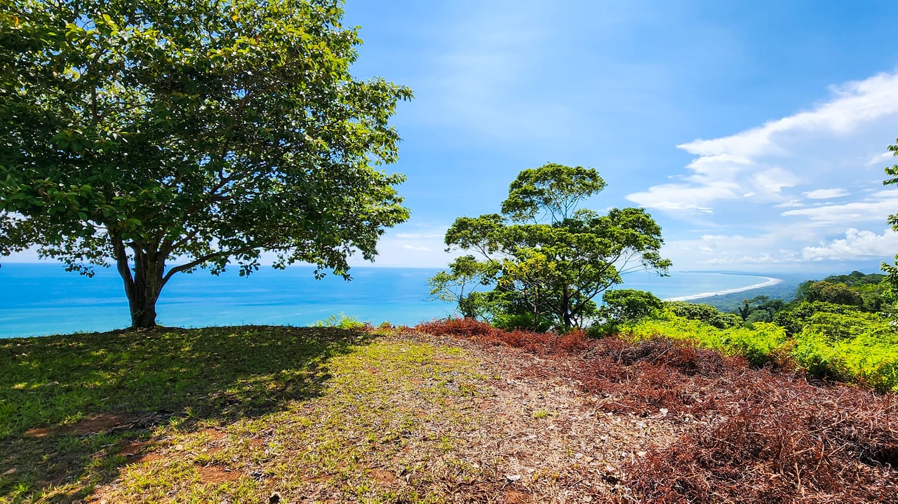 MANGO MANOR RIDGE PREMIER OCEAN VIEW PROPERTY IN DOMINICAL