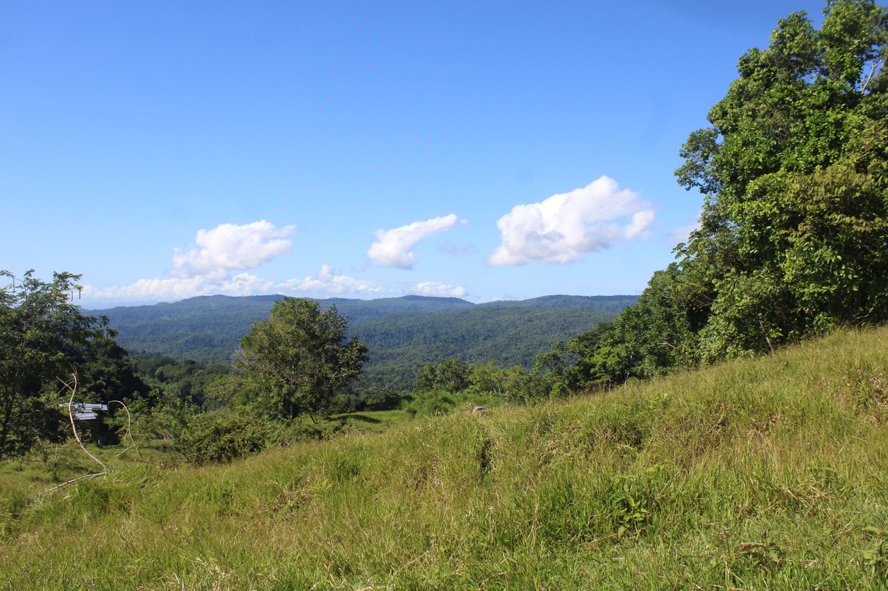 90 acre Farm, Inexpensive with lots of potential close to Rio Claro