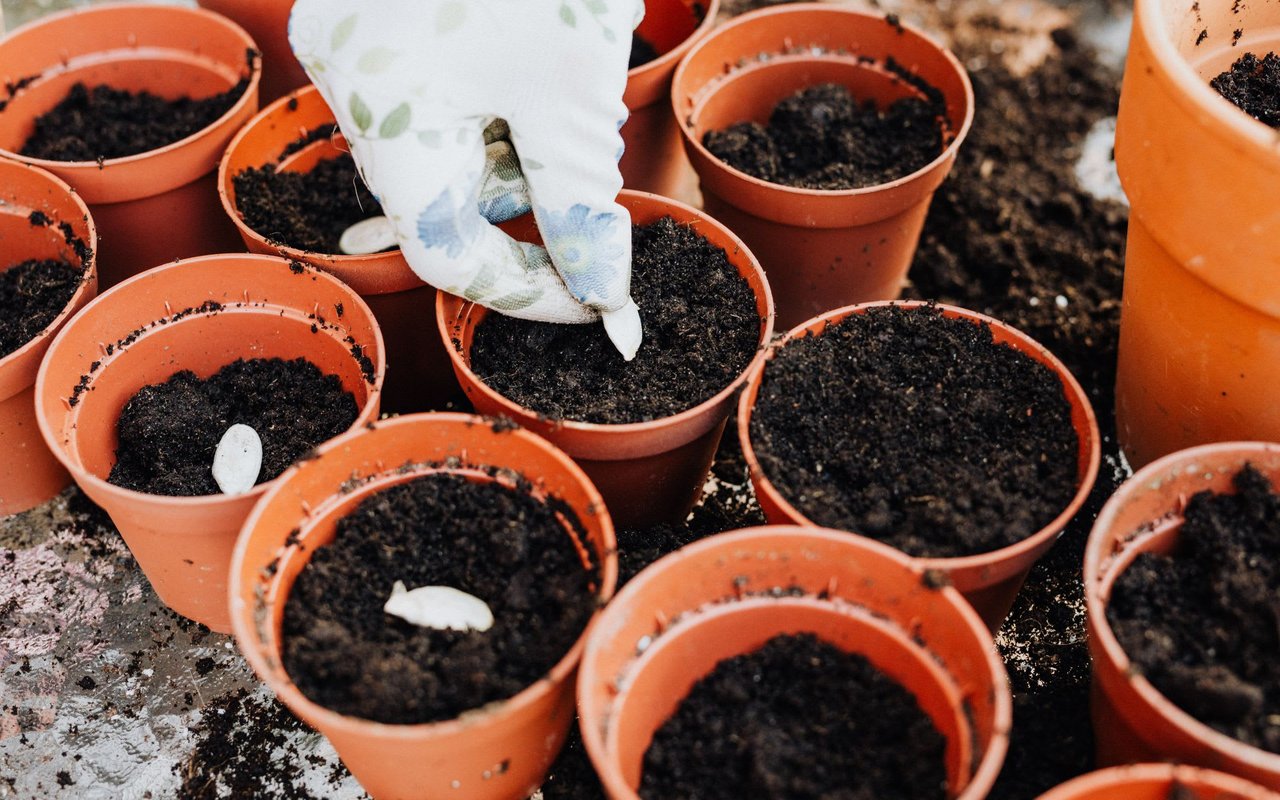 Planting Seeds of Entrepreneurship and Conservation