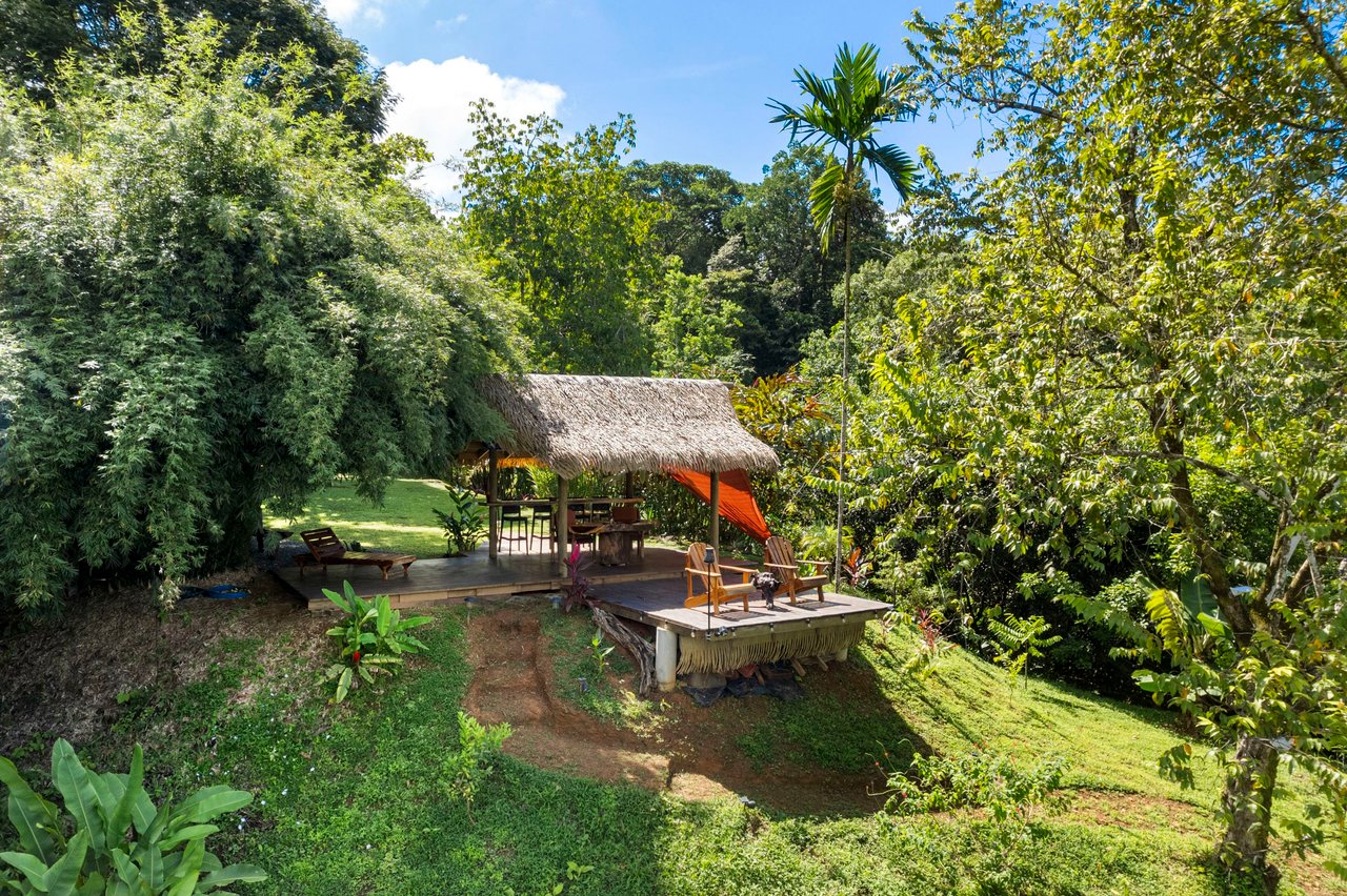 Cozy Sunset Ocean-View Bungalow On 3.5 Acres Of Jungle With Creeks, & Abundant Wildlife In Tres Rios Costa Rica