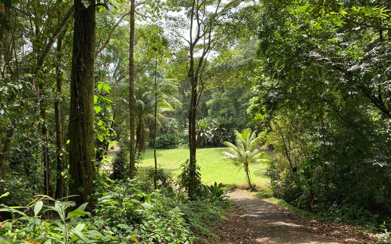 Titled Beachfront Development Land, Uvita, Puntarenas