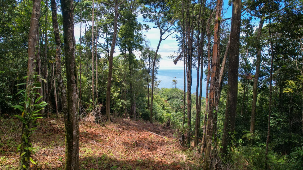 Ocean View Development Parcels, Dominical, Puntarenas