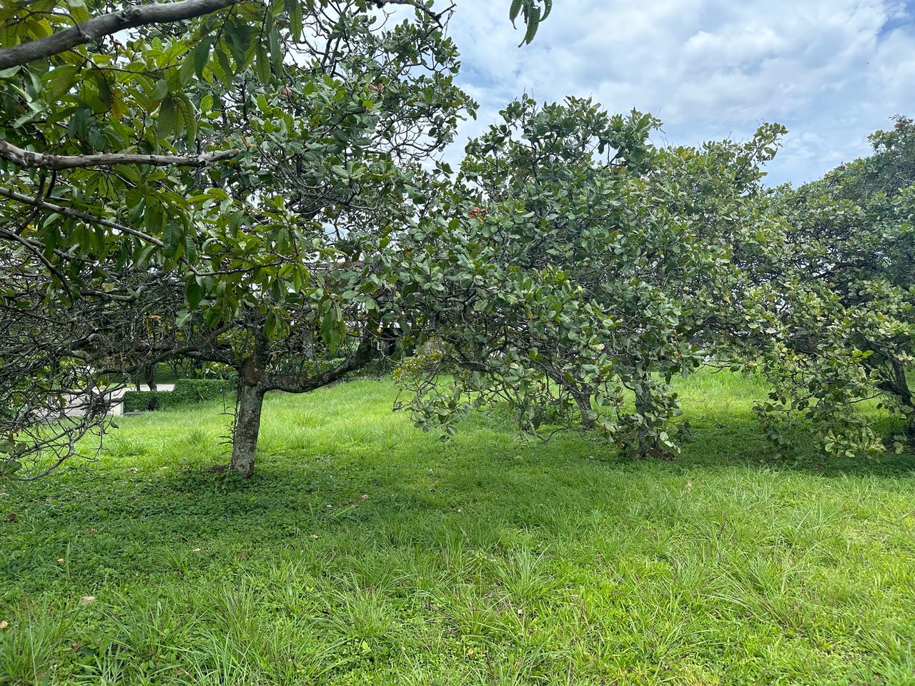 Premium Residential Building Lot, Guacima, Alajuela