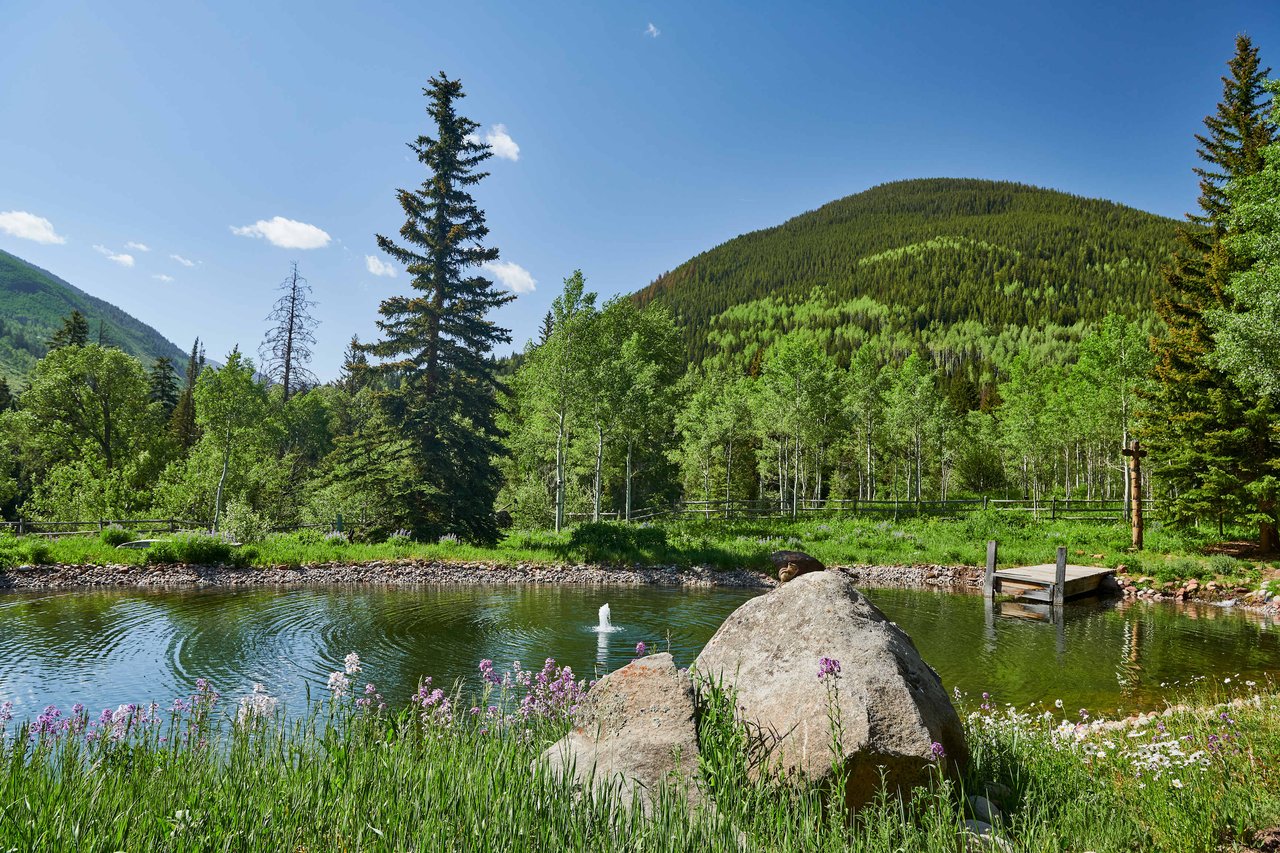  Ideal Mountain Retreat in Aspen 