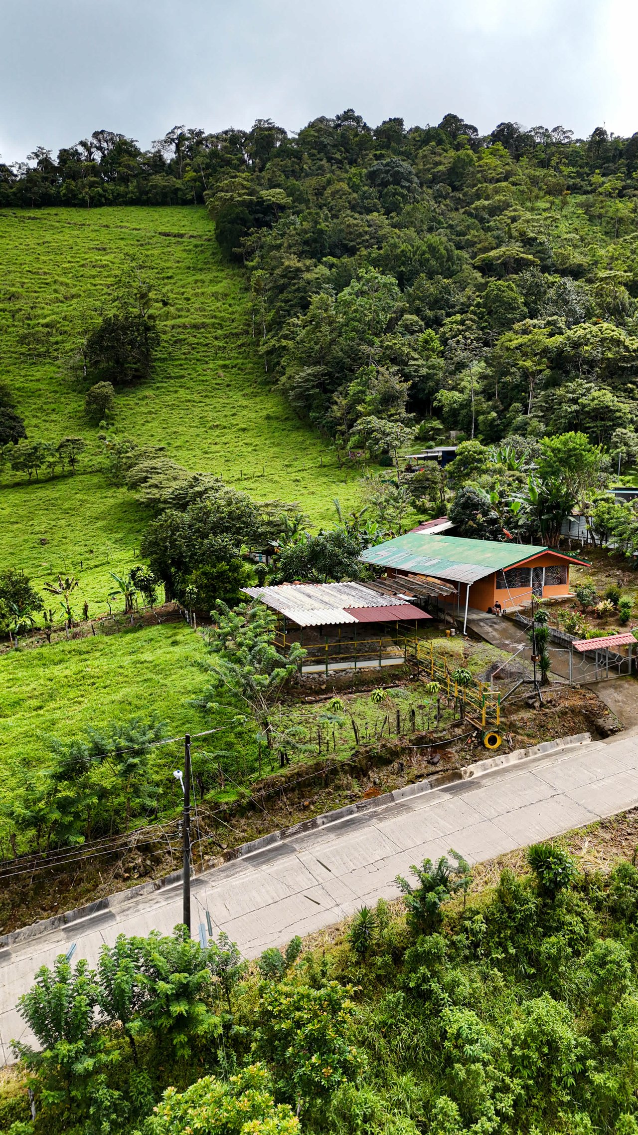 Finca Rosales | A Natural Paradise with Modern Comforts!