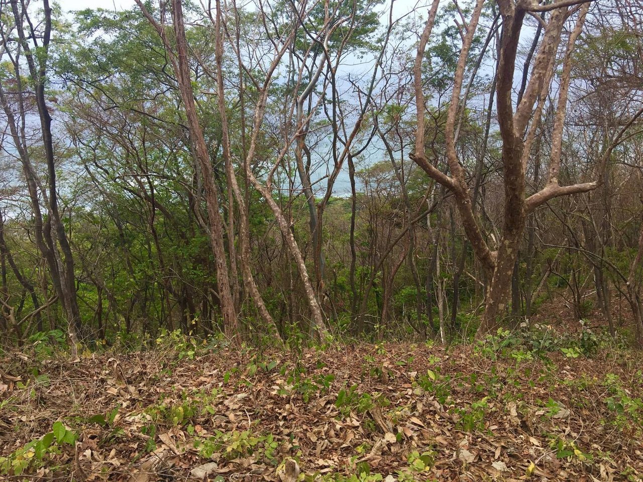 Commercial Ocean View Lot, Santa Teresa, Puntarenas