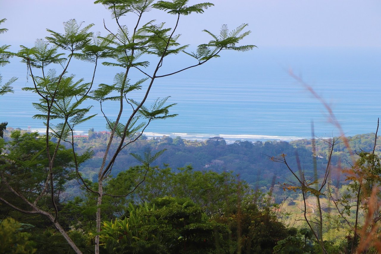 Ocean View Gated Development Land, Ojochal, Puntarenas