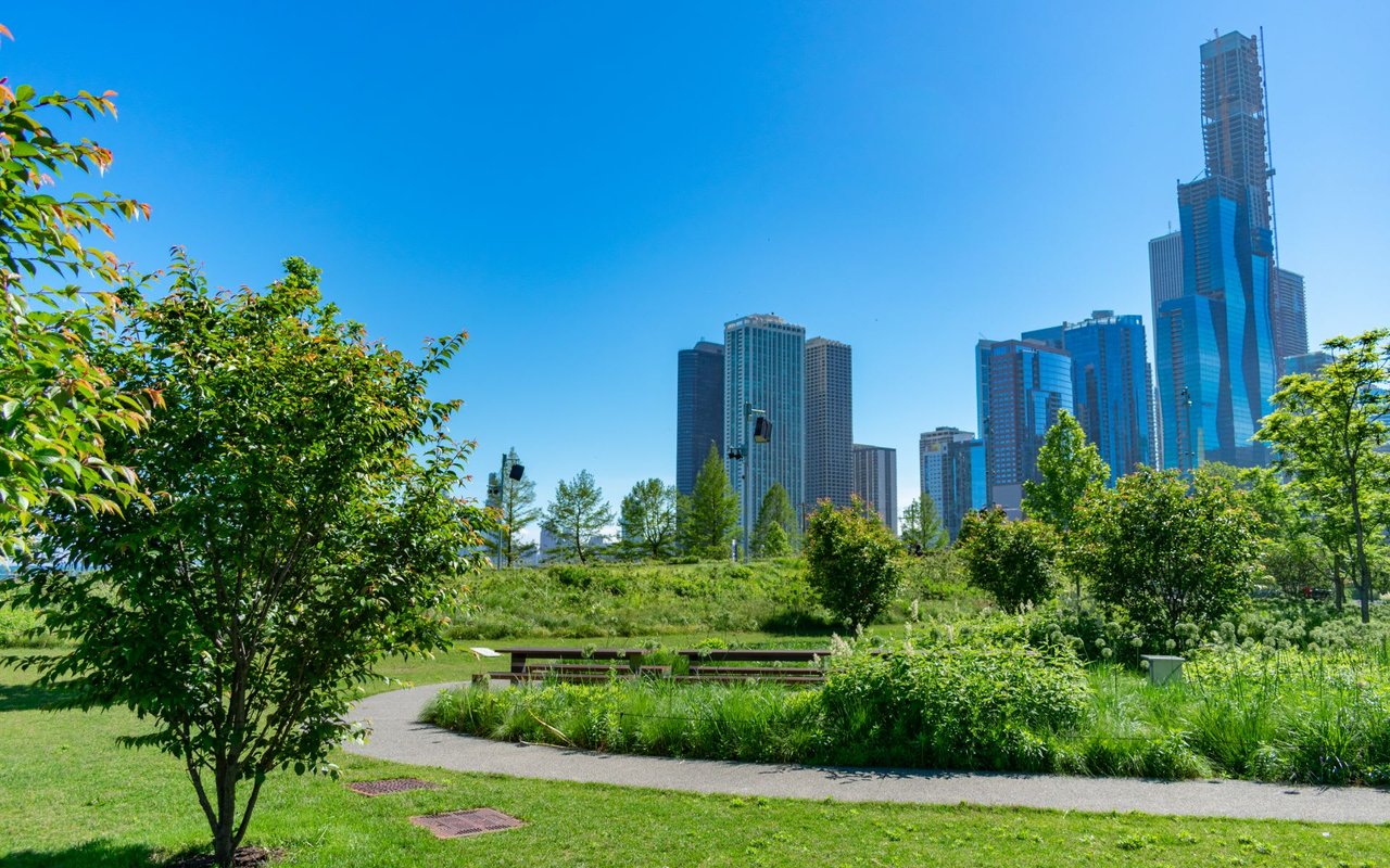 A grassy park dotted with mature trees with full green canopies and benches, framed by tall skyscrapers in the background.