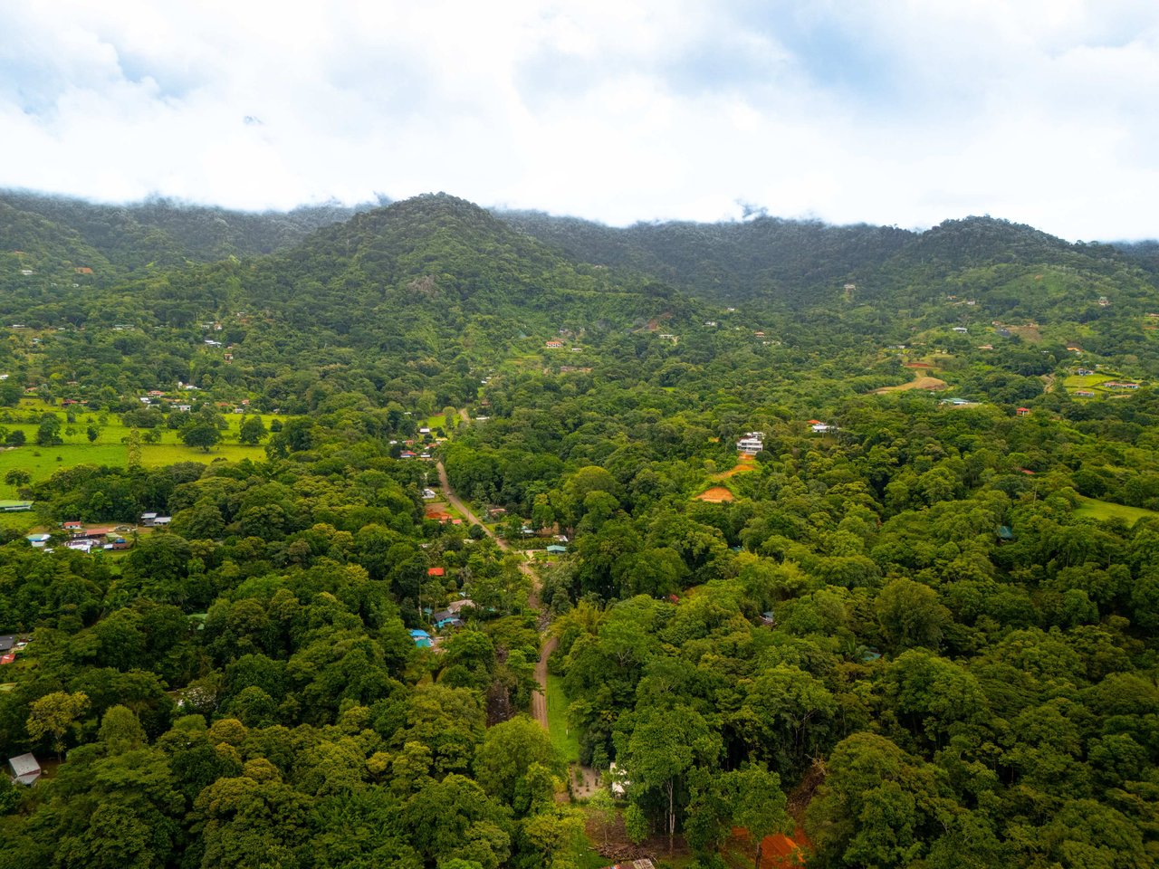 Coastal Canopy Retreat