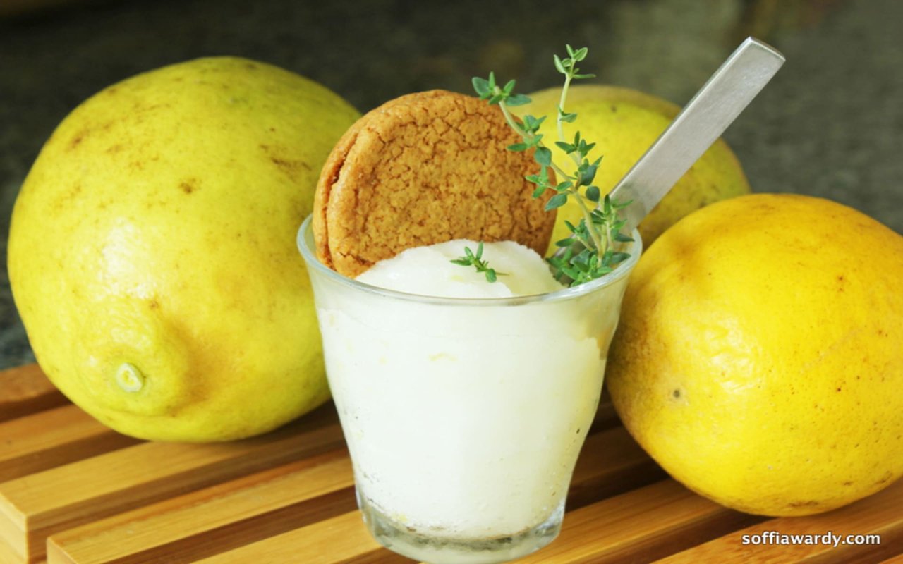 Meyer Lemon-Thyme Sorbetto