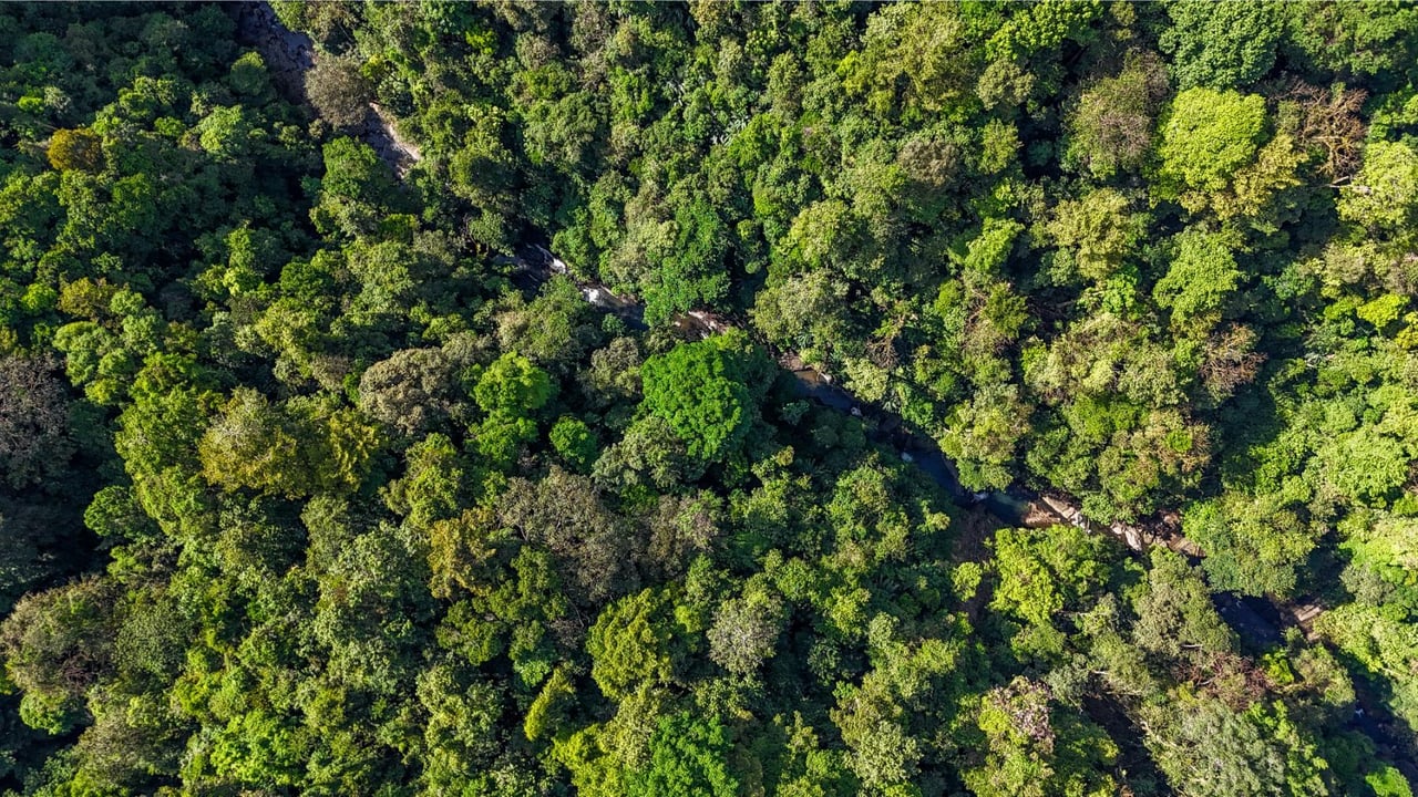Waterfall Rainforest River Estate, Uvita, Puntarenas