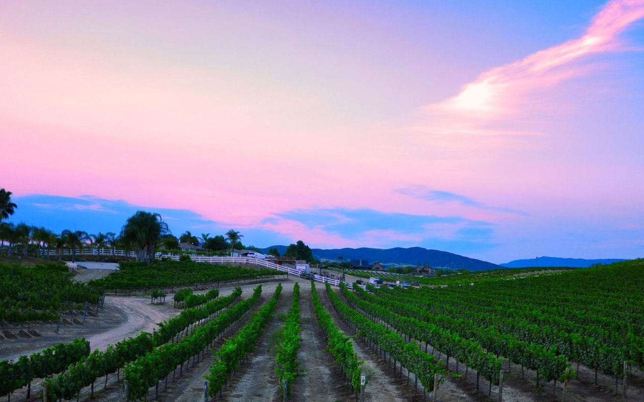 Temecula Wine Country