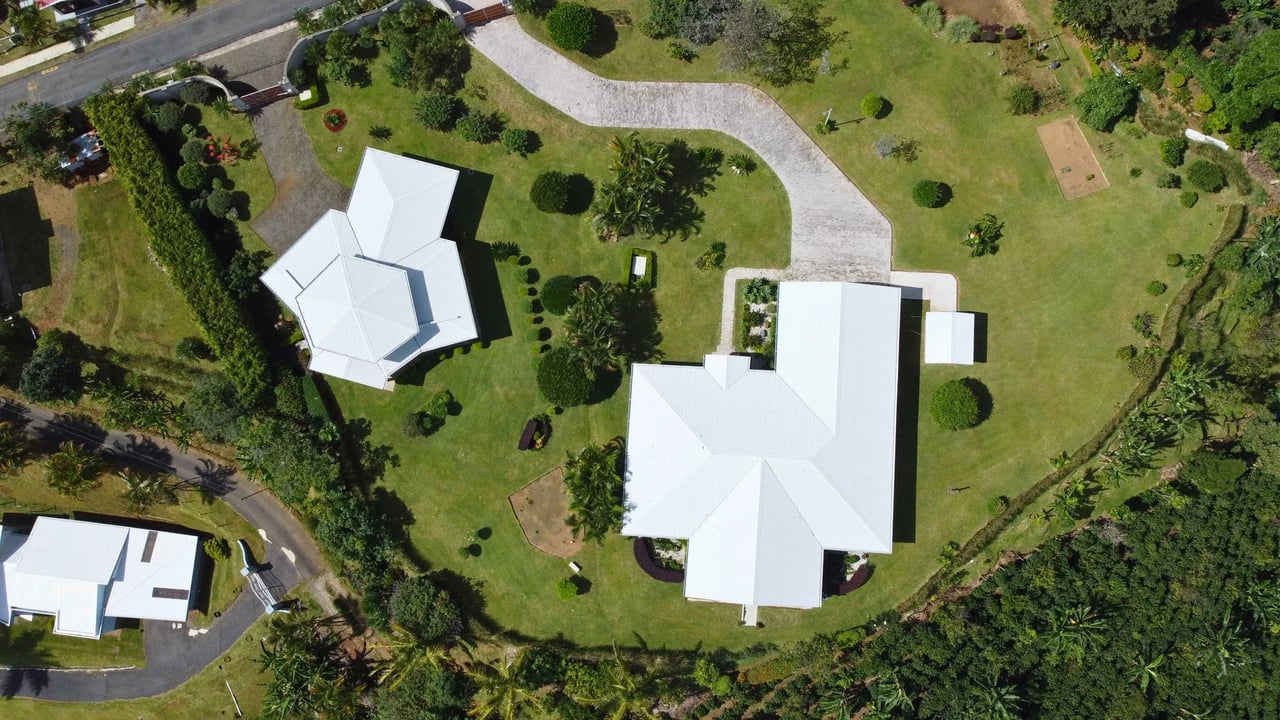 Coffee Plantation Estate, Alajuela