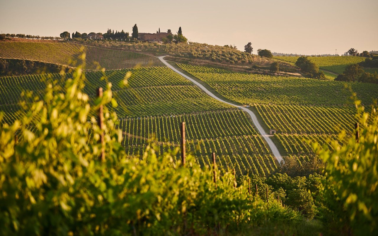 SANTA YNEZ VALLEY