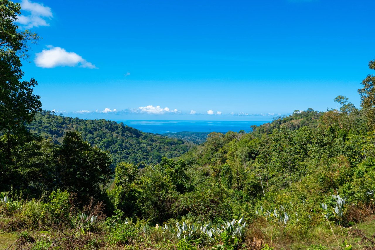 Luxury Waterfall Farm, Uvita, Puntarenas
