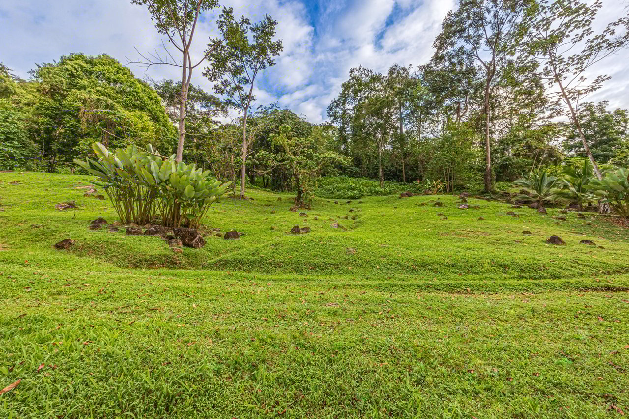Embrace Harmony in Nature on 12 Acres of Mountain and Ocean view Serenity