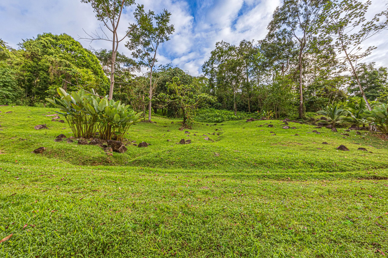 Embrace Harmony in Nature on 12 Acres of Mountain and Ocean view Serenity